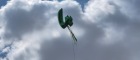 1_45987908-d39c-4700-92bc-3d7613c15ae7