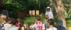 Bienenschutz