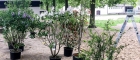 IMG-20190424-WA0015