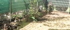 IMG-20190424-WA0030