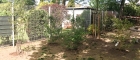 IMG-20190424-WA0039