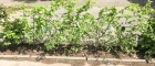 IMG-20190424-WA0041