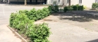 IMG-20190424-WA0042
