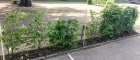 IMG-20190424-WA0044