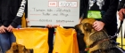 2019-tierheim-spende-42 (2)