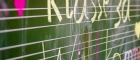 Spielstunde der 3a