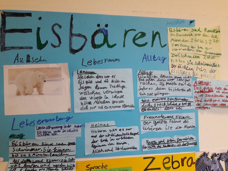 Wilde Tiere Im Sachunterricht Kardinal Frings Schule