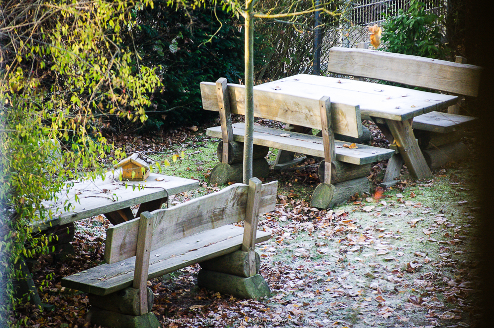 Unser Schulgarten