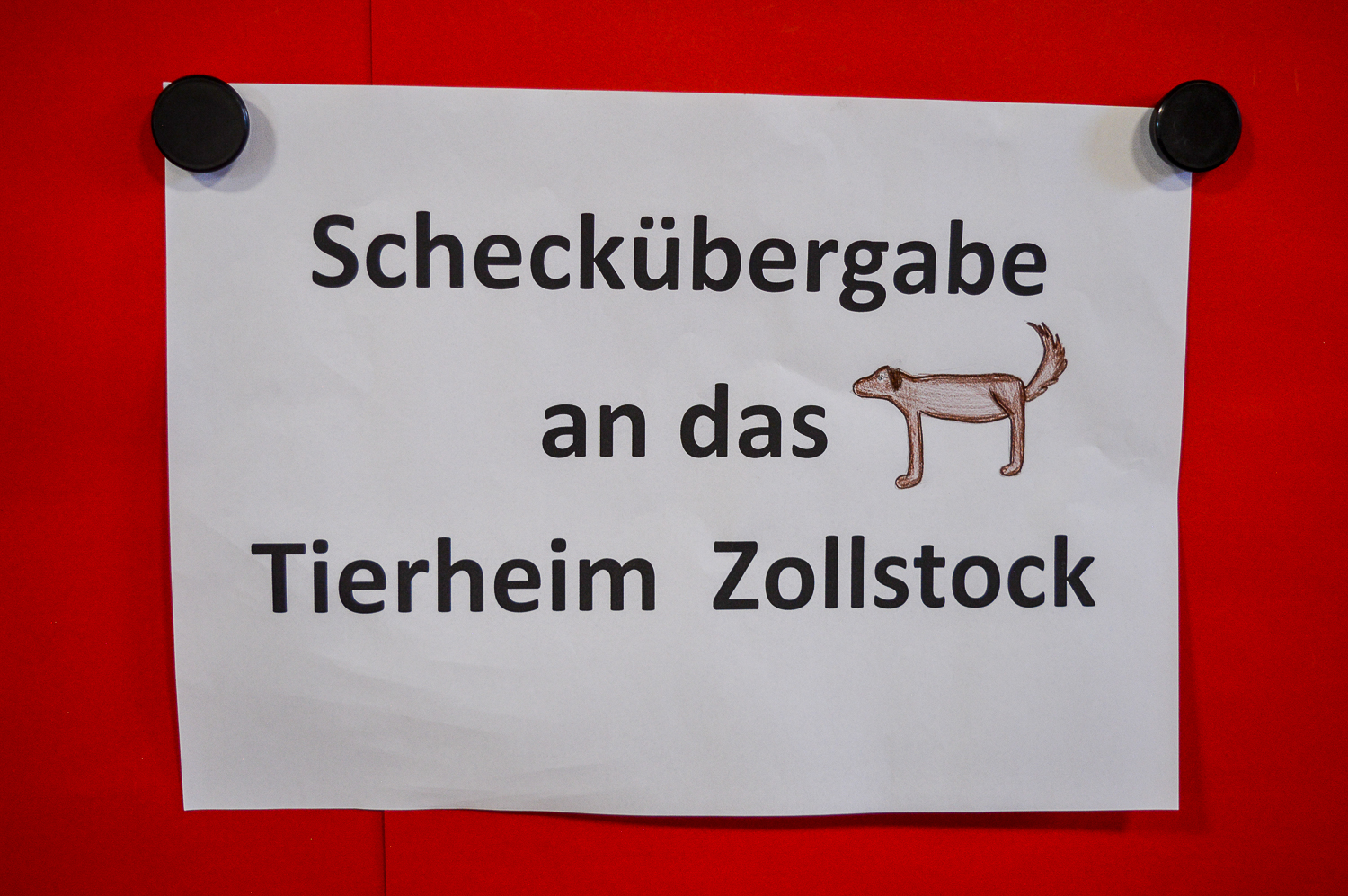 Kinder spenden ans Tierheim Köln Zollstock