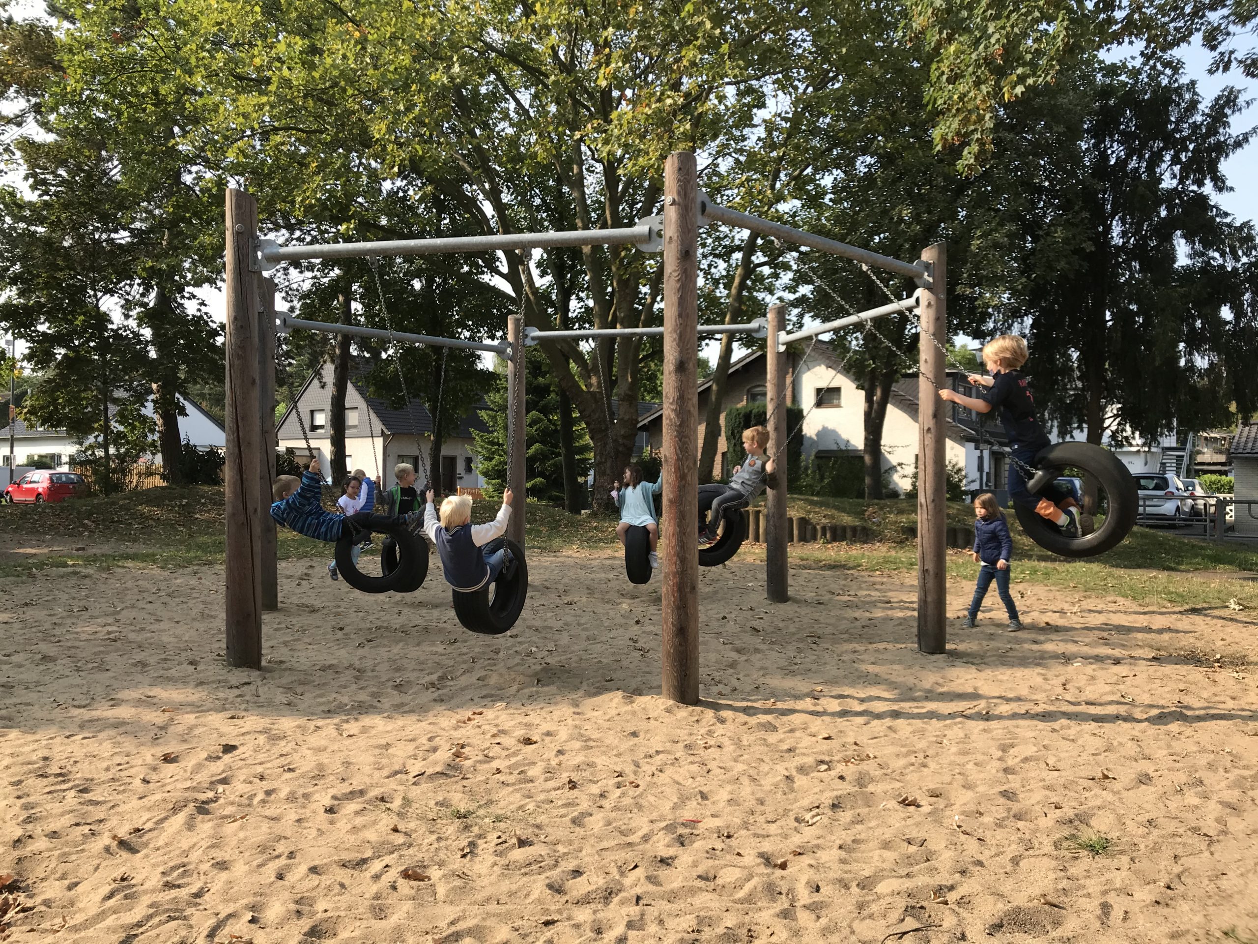 Die Zebras auf dem Meisenspielplatz